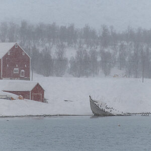 200206 Tromsø-39.jpg