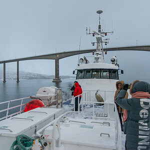 200206 Tromsø-66.jpg