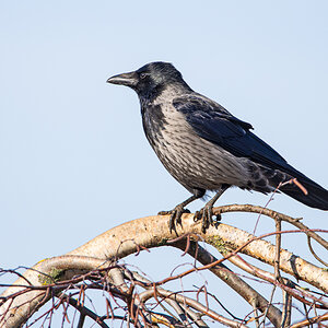 OF2_36840.jpg