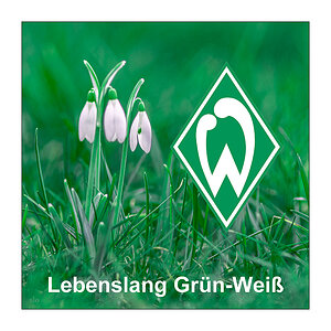 056 Lebenslang Grün-Weiß