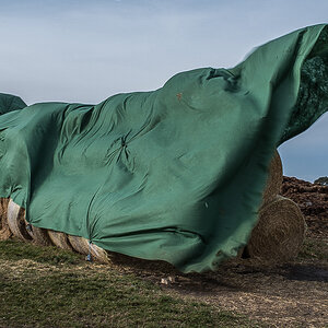 Sturmböe.jpg