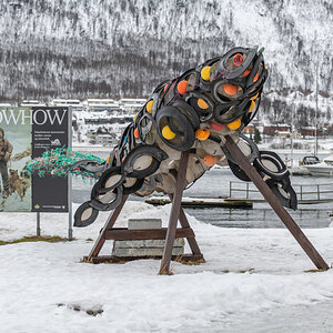200208 Tromsø-20.jpg