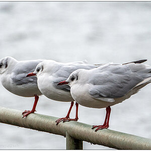 060 Und rechts!
