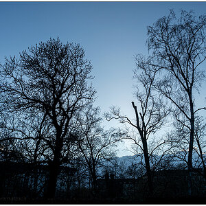 065 Schrevenpark im Februar