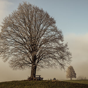 _DSC8249-Bearbeitet-Bearbeitet-1.jpg