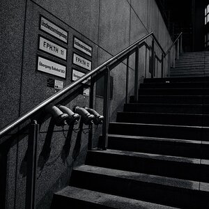 DSC_1973.jpeg
