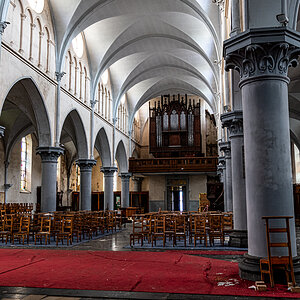 DSC_8539.jpg