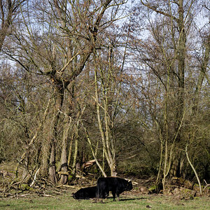 Z50_0903_DxO.jpg
