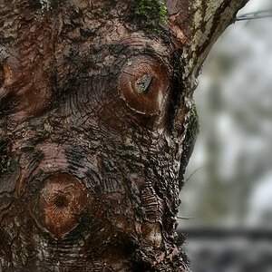 _Ich pfeif auf den Regen....jpg