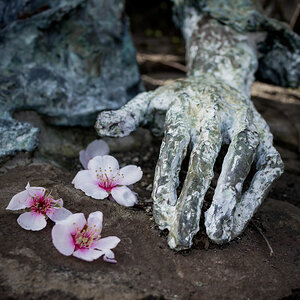 Susannes Hand
