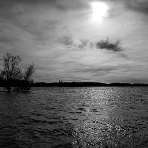 P1022888asw_klein.jpg