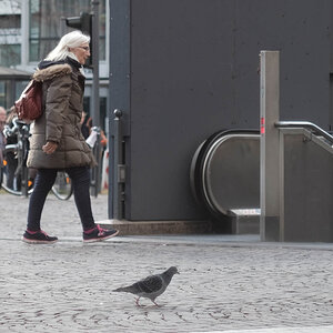 004-street.jpg
