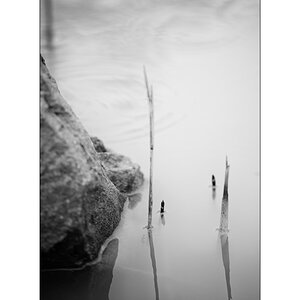 TeichDSC_3215.jpg