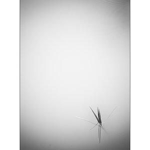 TeichDSC_3224.jpg