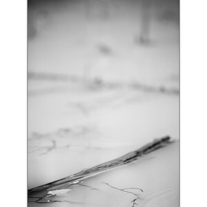 TeichDSC_3232.jpg