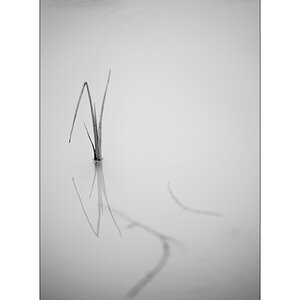 TeichDSC_3234.jpg