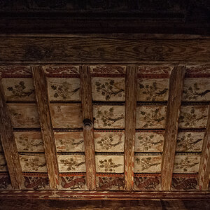 DSE_0663.jpg