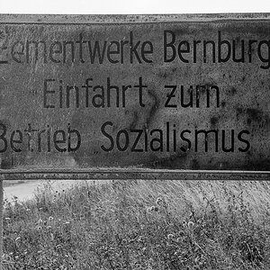 ZW-Sozi-a.jpg