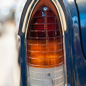 DSC_8984-1-2.JPG