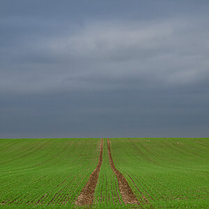 OF-49519.jpg