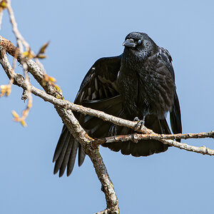 OF2_37341.jpg