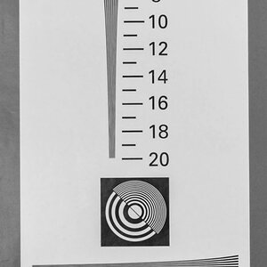D81_0975_1.jpg