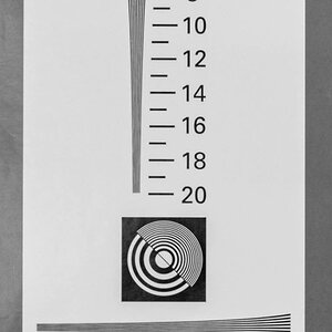 D85_2137_1.jpg