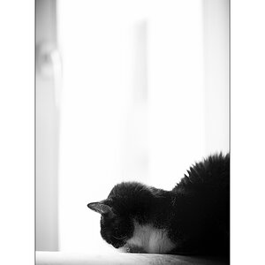 SasaDSC_3292.jpg