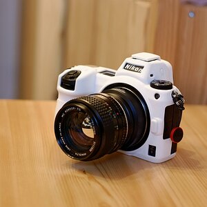 comp_DSC_1581_DxO  .jpg