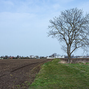 OF2_37495.jpg