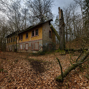 D81_1005.jpg