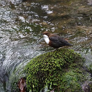 2020_01927.jpg