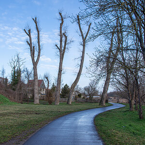 OF2_37593.jpg