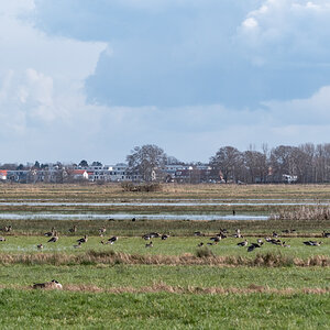 20200303-007.jpg