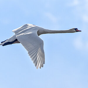 OF2_37868.jpg