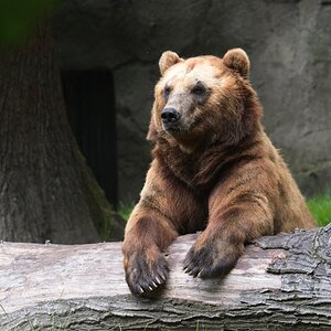 DSC_8148_f.jpg