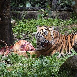 DSC_8211_f.jpg