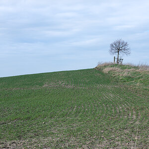 OF2_37963.jpg