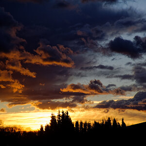 MMM_2216_DxO.jpg