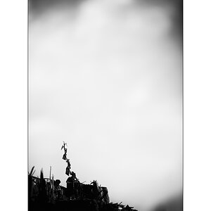 SasaDSC_3342.jpg