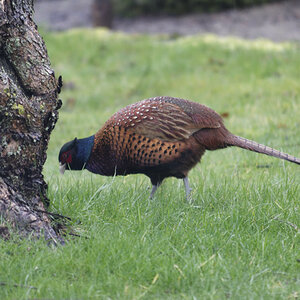 _DSC7371NF.jpg