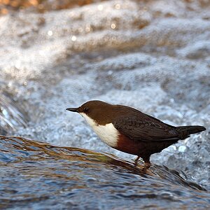 2020_02744.jpg