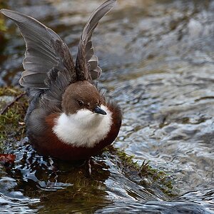 2020_04556.jpg