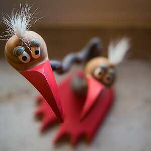 Gute Laune Vögel 6.jpg