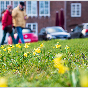 101 Frühlingsspaziergang