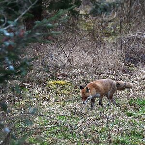 2020_04777.jpg
