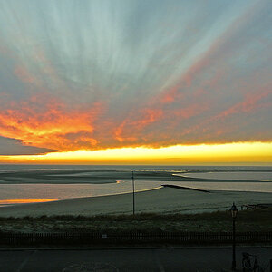 _DSC7502Pxl.jpg