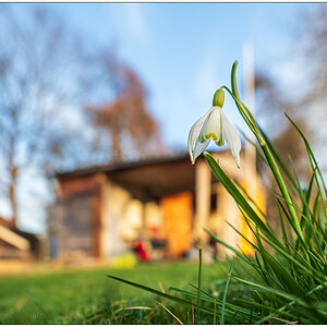 102 Frühlingssonne im Schrebergarten