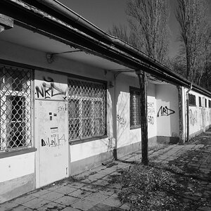 DSC_3691.JPG
