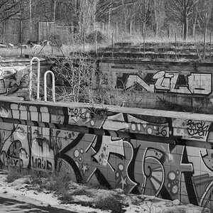 DSC_3694.JPG